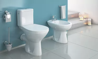 Toilette Bouton Poussoir Double Chasse Eau Économie Chrome for Idéal  Citerne